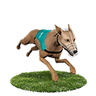 雀魂麻將娛樂城白金賽狗 雀魂麻將娛樂城白金賽狗